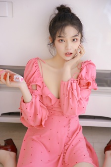 正版粉红淑女2